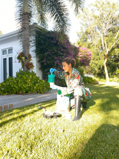 Start a garden at home