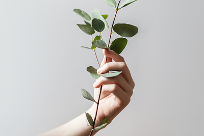 5 consejos para cuidar tus manos