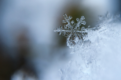 5 tips para rejuvenecer la piel en invierno