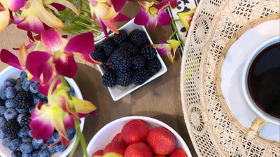 Todo sobre Antioxidantes